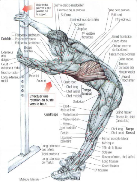 Stretching Latissimus Dorsi And Teres Major • Stephane Andre