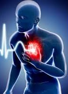 sudden, cardiac, death, hearth, sport, athlete, scd