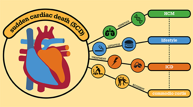 sudden, cardiac, death, sport, hearth, athlete, scd