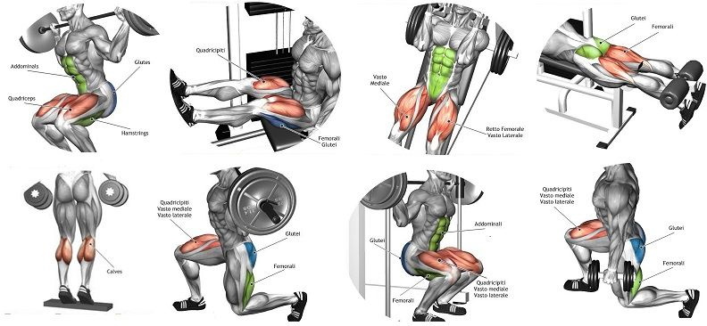 train legs exercise