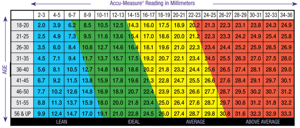 body progress body fat measurement chart